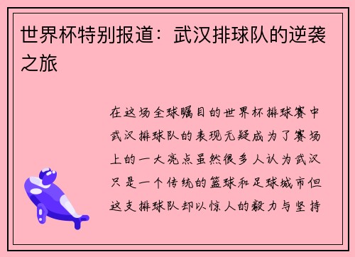 世界杯特别报道：武汉排球队的逆袭之旅